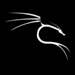 /kayjaydee/portfolio/raw/commit/da79d5e2dadafe8704d0d93031406c9761e32e37/src/assets/images/kalilinux.webp